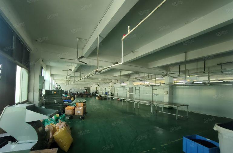 长安3000平方原房东低价厂房出租500平方起分租可办环评。