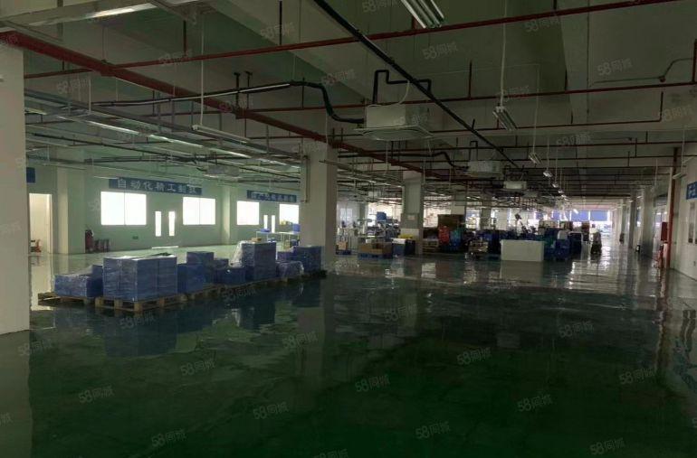 长安沙头原房东楼上精装修整层2500平方低价出租