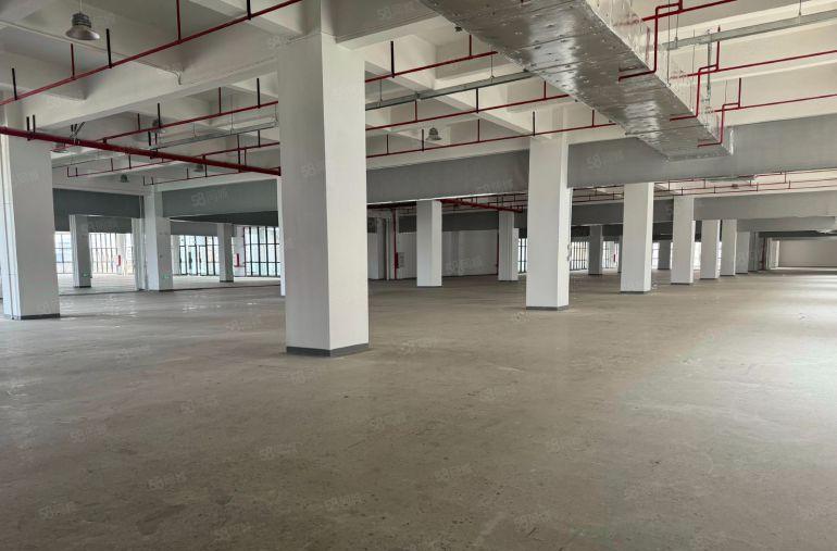 长安全新一楼厂房出租，一手房东价格优惠，层高8米，可办环评