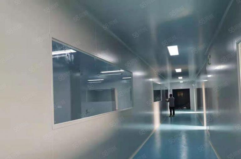 长安镇一手房东红本带现成无尘车间，3.5万独门独院厂房招商