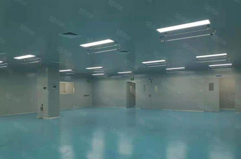 长安镇一手房东红本带现成无尘车间，3.5万独门独院厂房招商