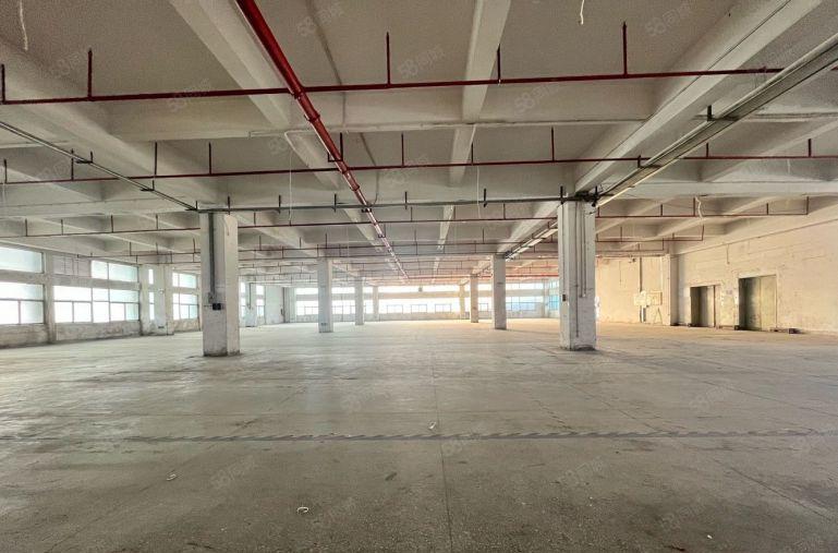 长安上沙原房东独院4500平厂房出租 可分租 水电齐全