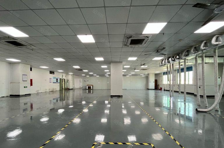 长安锦厦 原房东1000平厂房出租 可分租 水电齐全