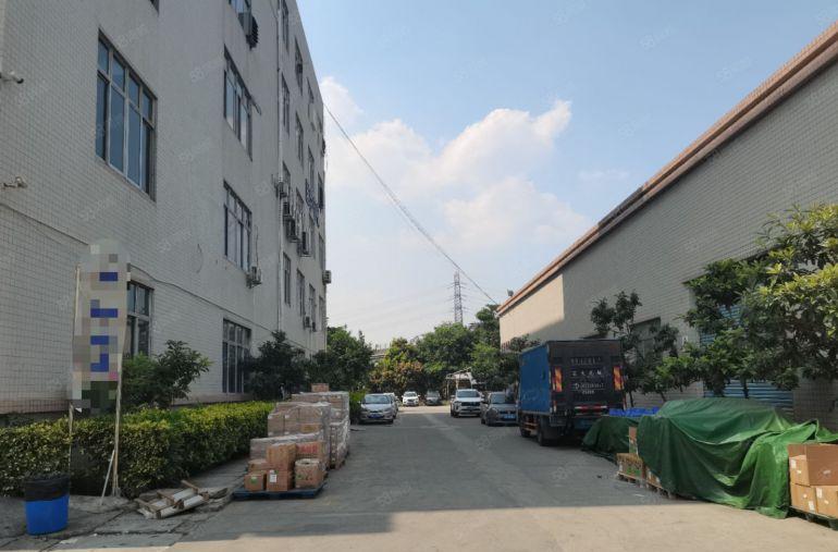 长安镇宵边原房东1楼1300平带牛角，可分租低价厂房出租