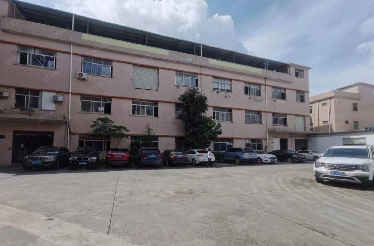 常平土塘小独院厂房分租标准一楼800平带装修低价便宜图片真实