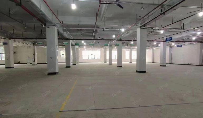 东莞常平客户大车可掉头有红本带精装办公室