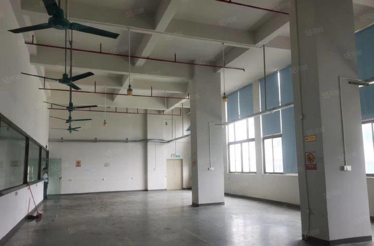 年前超低价楼上厂房出租常平上坑精装修办公室一层1000平便宜