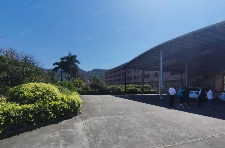 常平原房东花园式独门独院厂房8400平三层每层面积2800平