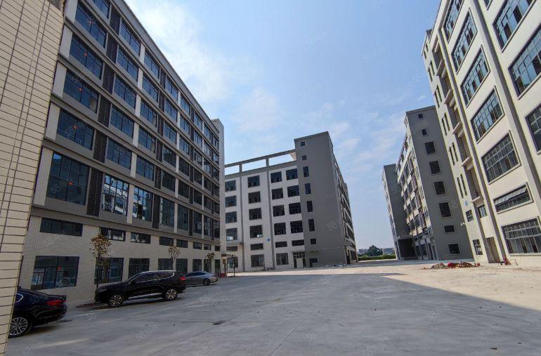 常平原房东大独院标准厂房出租，形象好周边无居民，适合各类行业