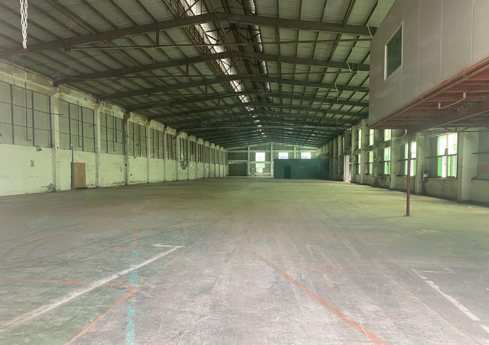 常平镇新出单一层9米高独门独院厂房8000平方米出租。