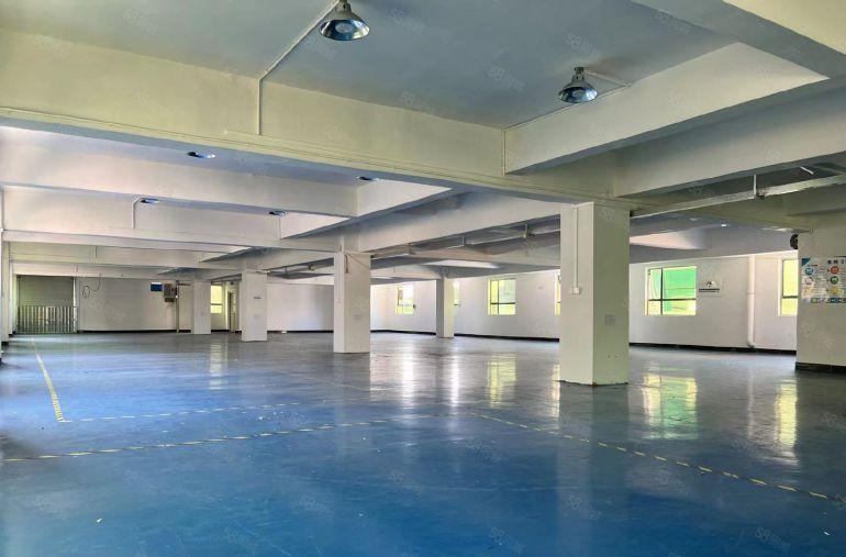 常平新出原房东厂房带地坪漆可办环评大车可掉头