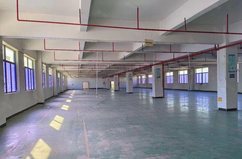常平新出厂房，空地大，靠进高速路口，有消防喷淋