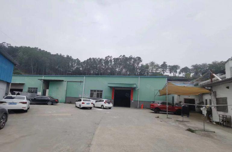 常平袁山贝单一层钢结构厂房分租低价1000平可分租2家空地大