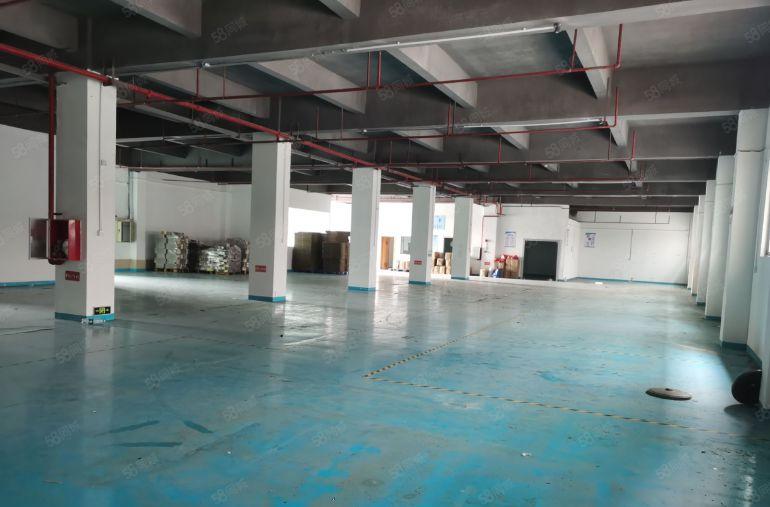 厚街精装修一楼1500平方低价厂房出租，现成办公室地坪漆