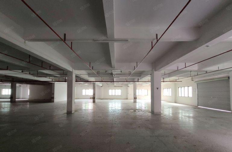 厚街标准小独院厂房 空地大 适合 鞋材 灯饰 五金 模具设备