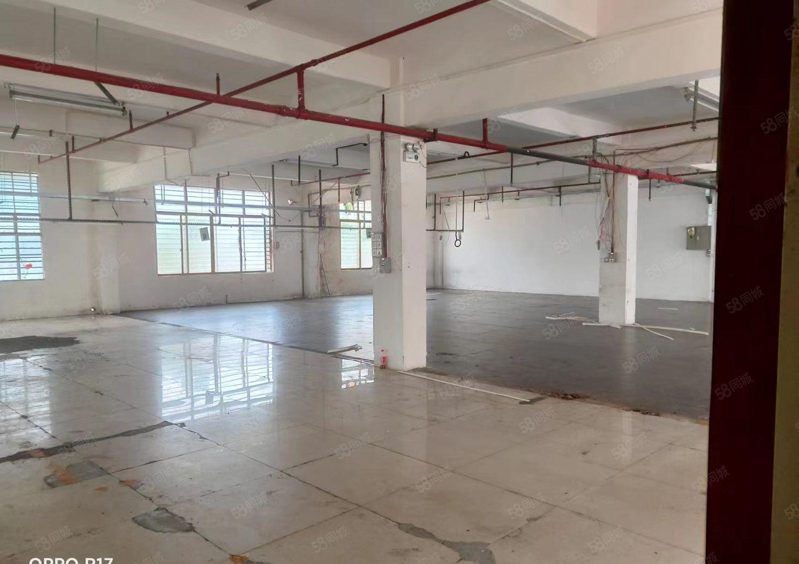 8.8元！厚街低价新推出厂房带办公室1330平！