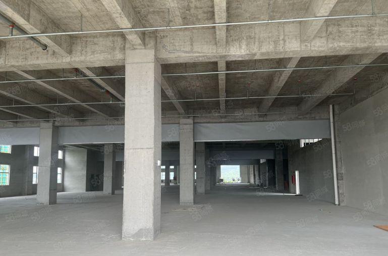 厚街全新高标红本厂房