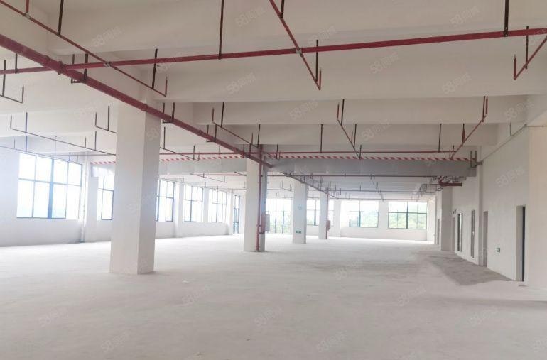 （独门独院6000平）原房东厂房电费自己交空地2000平