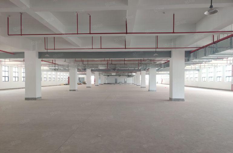 原房东8元尾盘甩租厚街虎门3000平一楼仓库厂房出租大小可分