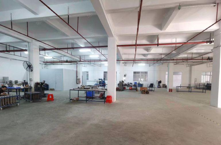 厚街新出800平原房东一楼厂房出租，层高5.5米，水电齐全