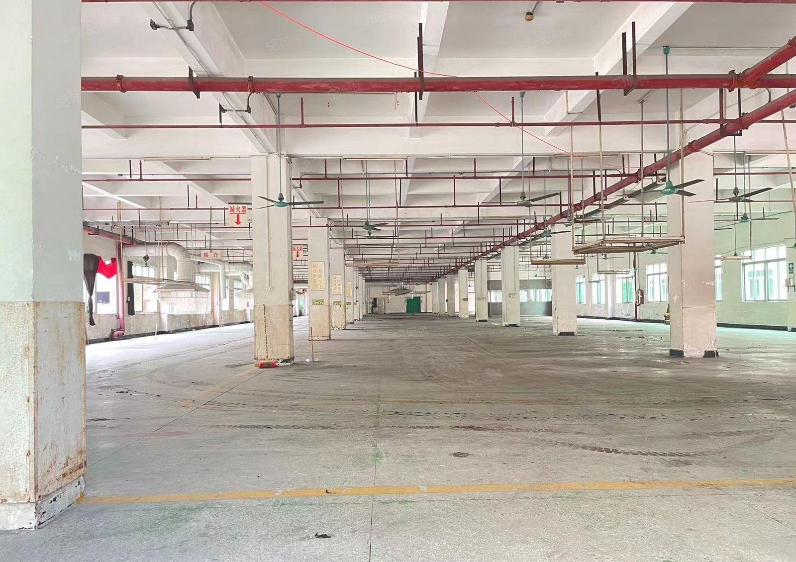 ！厚街原房东独门独院2万8千方厂房，可分隔多套独院