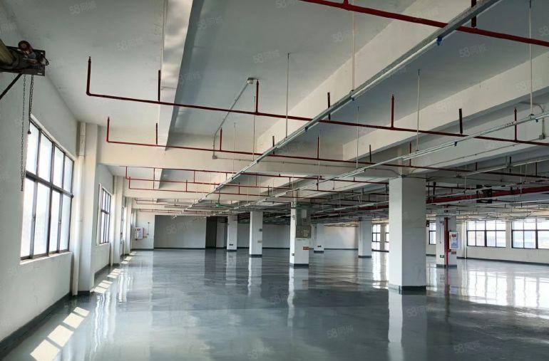 厚街桥头新出1200平方原房东厂房低价出租水电齐全精装修