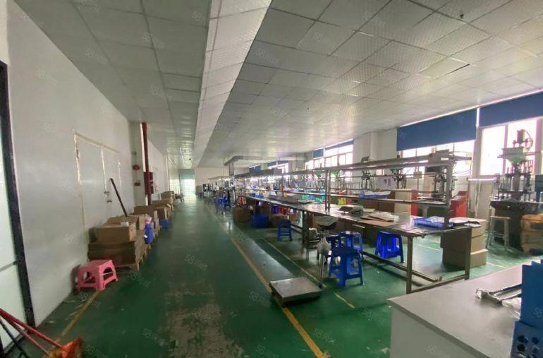 塘厦龙背岭原房东直租标准3楼600平方，面积实在，价格实惠！