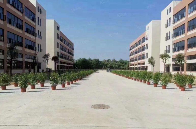 上市公司独栋厂房3楼1300平证件齐全电大空地大形象好