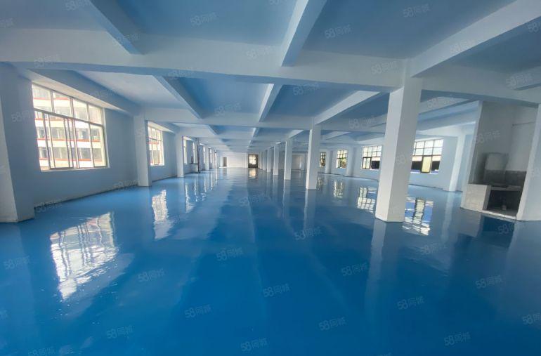 塘厦莆心湖独院标准3楼1420平方，全新地坪漆装修，主线到位