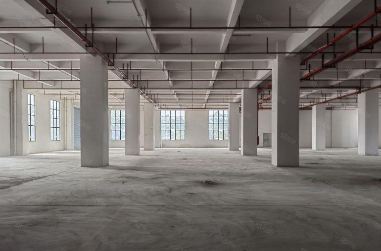 塘厦大坪工业园一楼高度6米厂房低价出租主线到车间形象好空地大