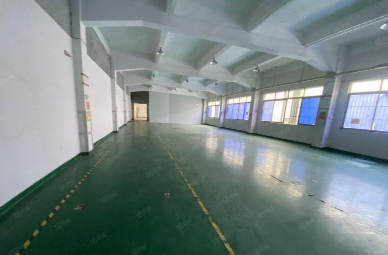 塘厦大坪新出独院标准3楼850平，全层地坪漆精装修，水电齐全