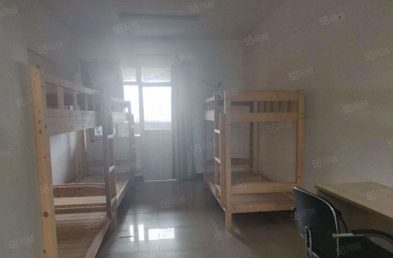 龙背岭5楼 生产加工仓储为一体厂房 装修享免租期