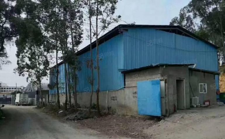 塘厦平山新出400平小独院铁皮房，微偏僻可做噪音小污染