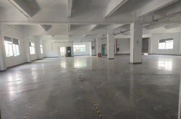 新出塘厦沙湖1800平方标准厂房，带办公室装修