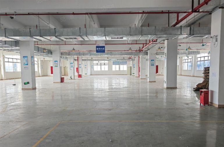 塘厦横塘新空标准二楼厂房1200平带装修低价出租，大货梯上下