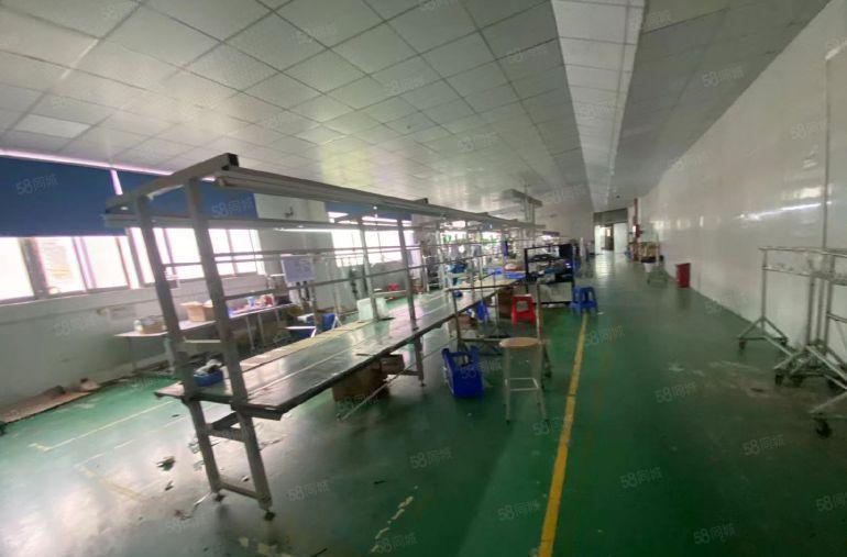 塘厦龙背岭原房东直租标准3楼600平方，面积实在，价格实惠！