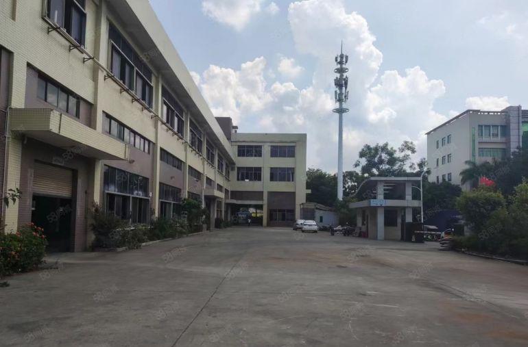 业主急租塘厦钢构1280平方带700平方空地，价格超低已空出