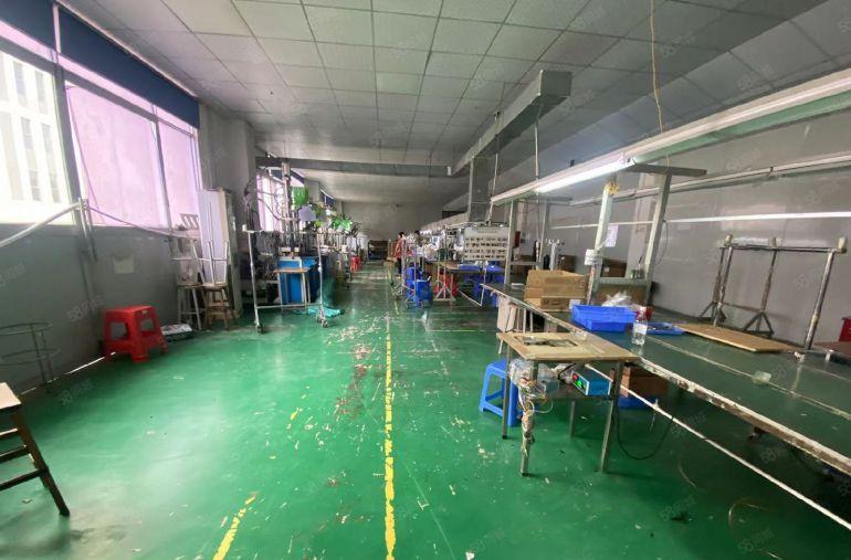 塘厦龙背岭原房东直租标准3楼600平方，面积实在，价格实惠！