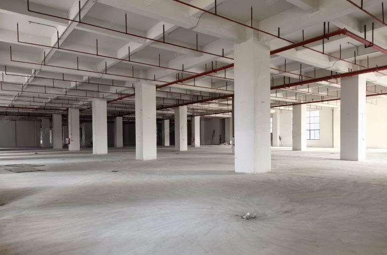 塘厦大坪工业园一楼高度6米厂房低价出租主线到车间形象好空地大