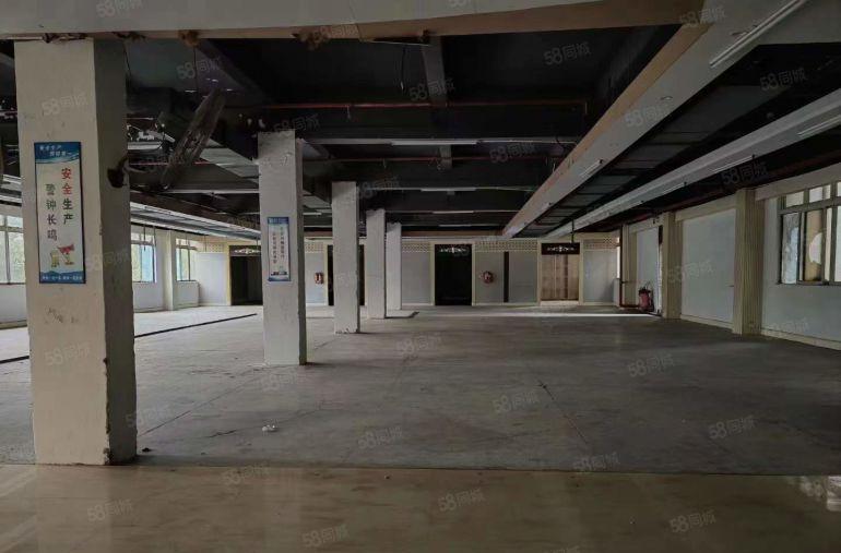 塘厦莲湖新出独院总面积6600平可隔独院原房东厂房出租