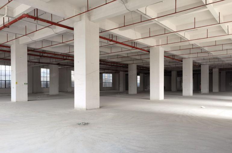 塘厦大坪工业园一楼高度6米厂房低价出租主线到车间形象好空地大