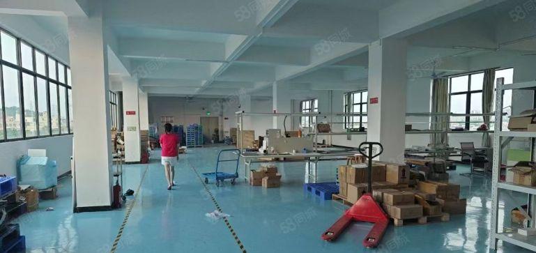 塘厦龙背岭现成精装修电子厂房800平方水电齐全全新地坪漆