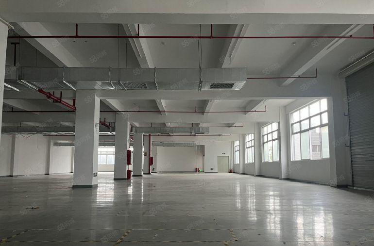 塘厦横塘新空标准二楼厂房1200平带装修低价出租，大货梯上下