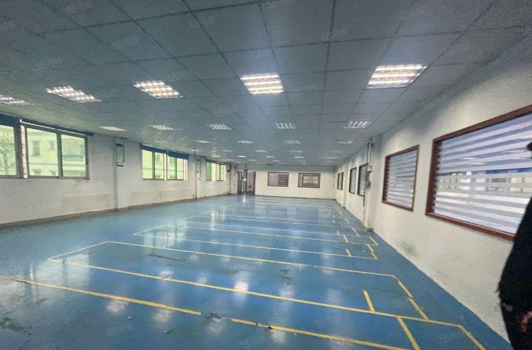 塘厦莲湖三层独院5300平标准厂房出租，周边人气旺，好招工