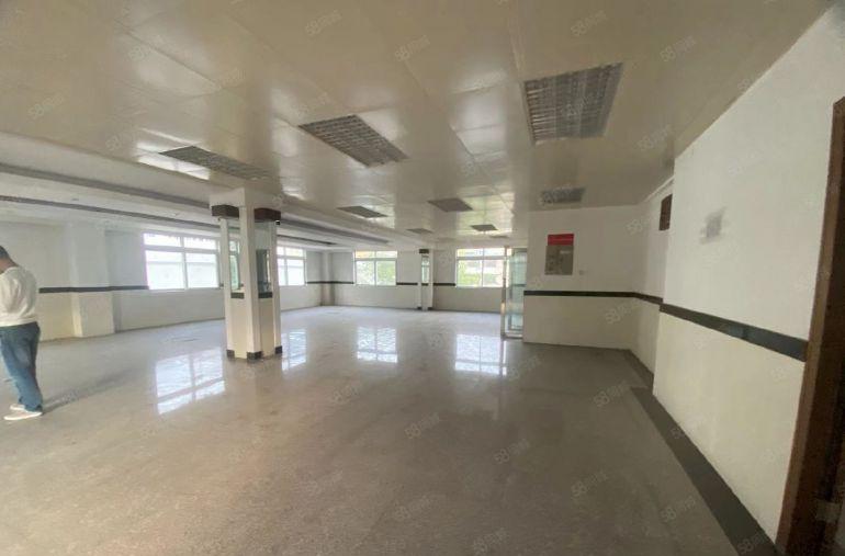 塘厦四村原房东直租标准3楼350平方，低价出租，现成豪华装修