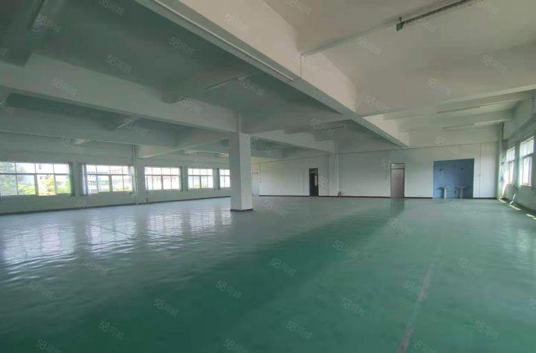 塘厦新出花园式独栋厂房出租，现成装修，房东好说话，无转让费