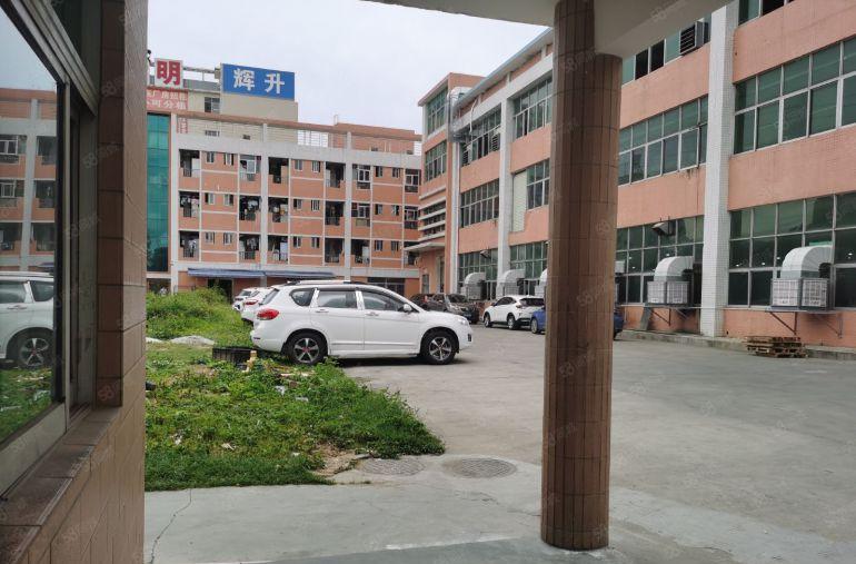 15块起分塘厦外环高速口原房东独院6000平实际面积出租