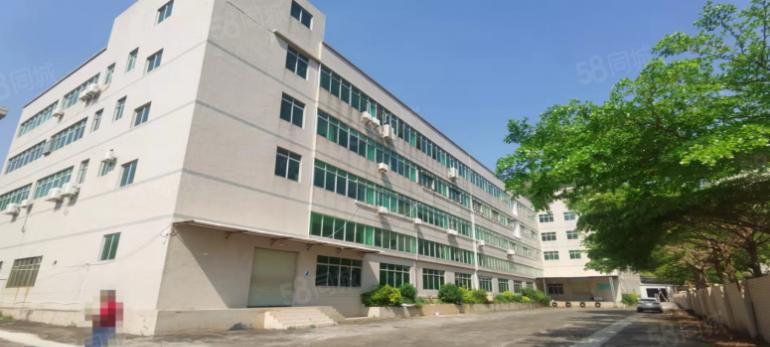 塘厦大道深圳外环高速出入口旁新出一楼标准厂房400平方