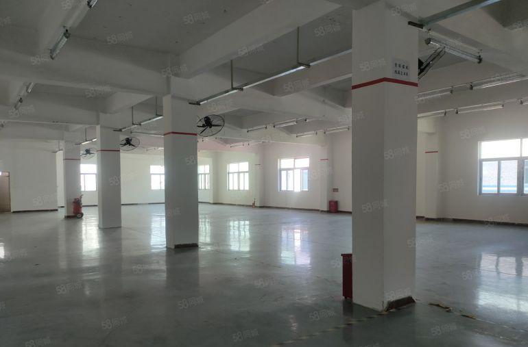 塘厦大坪工业区2000平方原房东仓库厂房出租500平方起分租