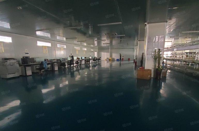 无尘车间2000平  可以分租 价格便宜